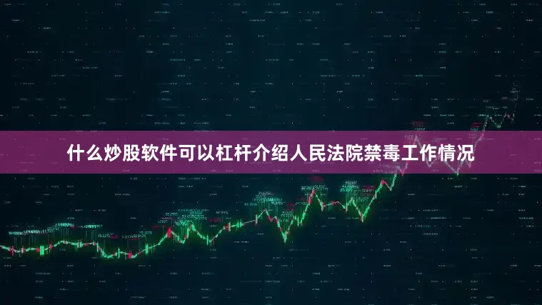 什么炒股软件可以杠杆介绍人民法院禁毒工作情况