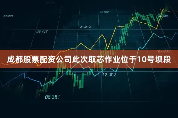 成都股票配资公司此次取芯作业位于10号坝段